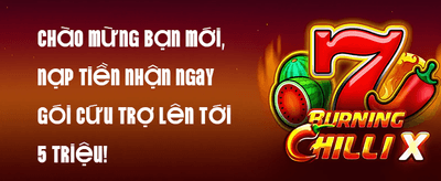 Thưởng Đăng Ký Mới